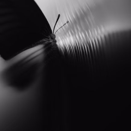 AETHER - Luxury Identity System